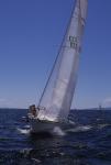 Sports-Sail 75-45-03603