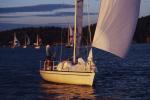 Sports-Sail 75-45-03893