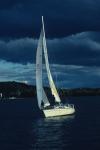 Sports-Sail 75-45-03945