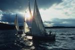 Sports-Sail 75-45-03962