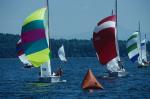 Sports-Sail 75-45-04419