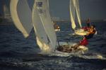 Sports-Sail 75-45-04575