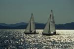 Sports-Sail 75-45-04730