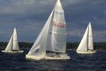 Sports-Sail 75-45-05076