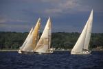 Sports-Sail 75-45-05091