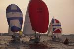 Sports-Sail 75-45-05139