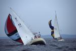 Sports-Sail 75-45-05542