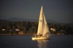 Sports-Sail 75-45-05599