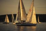 Sports-Sail 75-45-05601