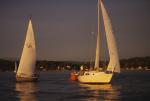 Sports-Sail 75-45-05627