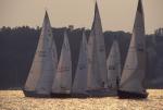 Sports-Sail 75-45-05647