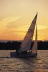 Sports-Sail 75-45-05669