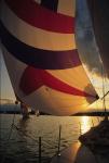 Sports-Sail 75-45-05880