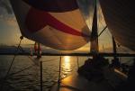 Sports-Sail 75-45-05881