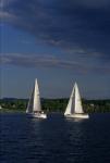 Sports-Sail 75-45-06128