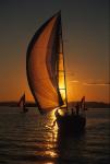 Sports-Sail 75-45-06245