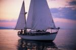 Sports-Sail 75-45-06322