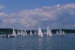 Sports-Sail 75-45-06431