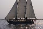 Sports-Sail 75-45-06698