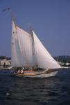 Sports-Sail 75-45-06727