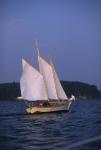 Sports-Sail 75-45-06730