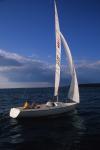 Sports-Sail 75-45-06755