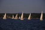 Sports-Sail 75-45-06785