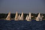 Sports-Sail 75-45-06799