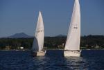 Sports-Sail 75-45-06826