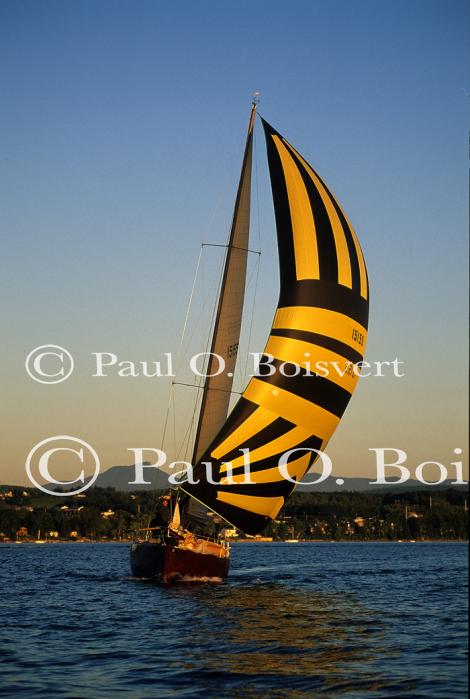 Sports-Sail 75-45-07033