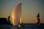 Sports-Sail 75-45-07043