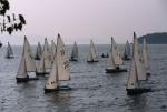 Sports-Sail 75-45-07433