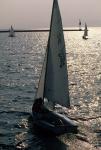 Sports-Sail 75-45-07467