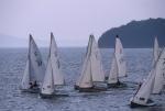 Sports-Sail 75-45-07547