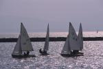 Sports-Sail 75-45-07554