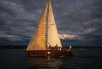 Sports-Sail 75-45-07601