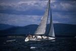 Sports-Sail 75-45-07848