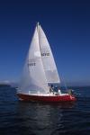 Sports-Sail 75-45-07940