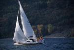 Sports-Sail 75-45-07954