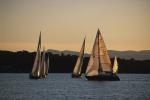 Sports-Sail 75-45-07983