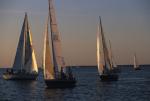 Sports-Sail 75-45-07993