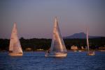 Sports-Sail 75-45-08001