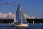 Sports-Sail 75-45-08132