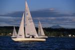 Sports-Sail 75-45-08261