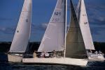 Sports-Sail 75-45-08279