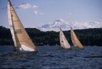 Sports-Sail 75-45-08285