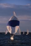 Sports-Sail 75-45-08295