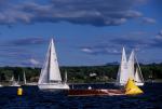 Sports-Sail 75-45-08304