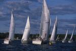 Sports-Sail 75-45-08311