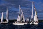 Sports-Sail 75-45-08315